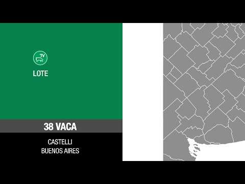 Lote 4960ce6e-8848-48e8-9dda-3356634bd289