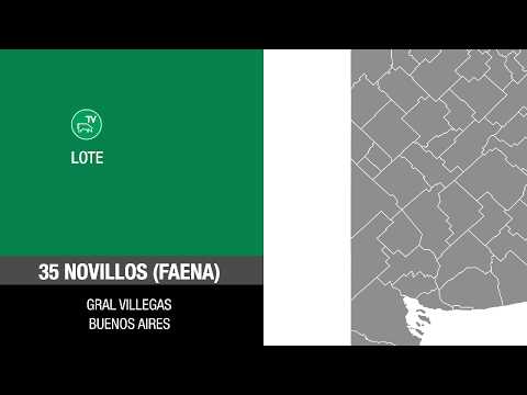Lote 6c491a7c-a462-4251-9f00-a3ee2b13468b