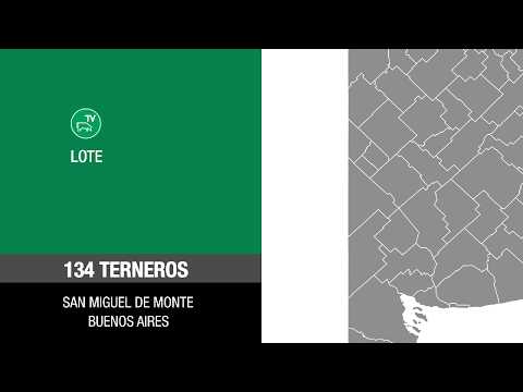 Lote 571d2d02-0c0c-472d-988b-2b2d52cd9d40