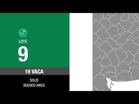 Lote 16f49837-dfb3-4473-8f98-34b35ba8b8cc