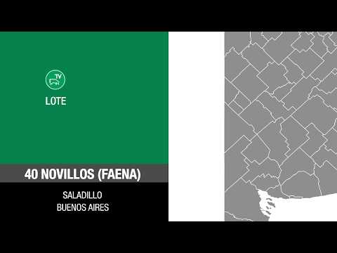 Lote 23643b7a-c5ba-4bee-b14f-2762fb4dd2ee