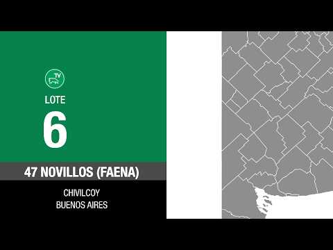 Lote ae98e57c-92b3-40b0-a7e3-b5218d9af1fe