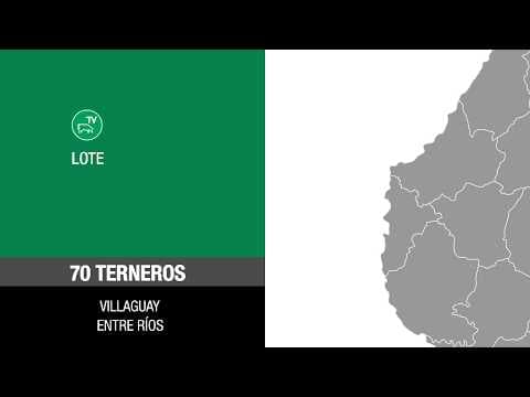 Lote f7cd6f56-529f-48cd-b9b9-c8924e885627